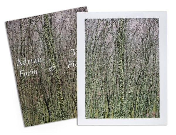 Form and Fiction.  Expanded Edition with signed and numbered limited edition 24 x 30 cm. print.